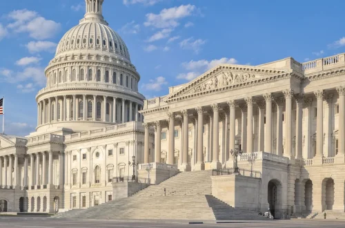 Wise Club Consulting: guiding governments toward effective solutions