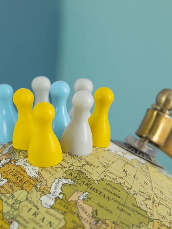Our international markets & sales services